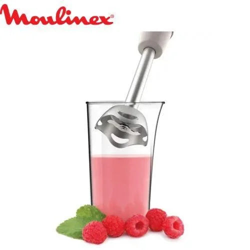 Bras Mixeur 450W Turbo Moulinex DD471A10