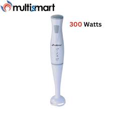Bras Mixeur 300W Multismart MS-HB2111